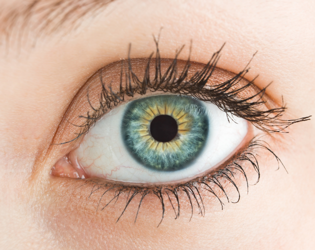 suplement vitamin za vid, prirodni antioksidans koji podržava optimalno zdravlje očiju